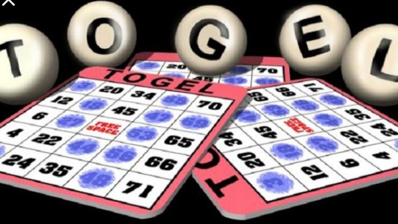 Gawat! Polres Pelabuhan Belawan Tak Bernyali Menutup Judi Togel Belawan