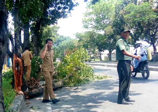 Babinsa Koramil 11/MD Bersihkan dan Angkat Ranting Pohon Yang Menggangu Jalan