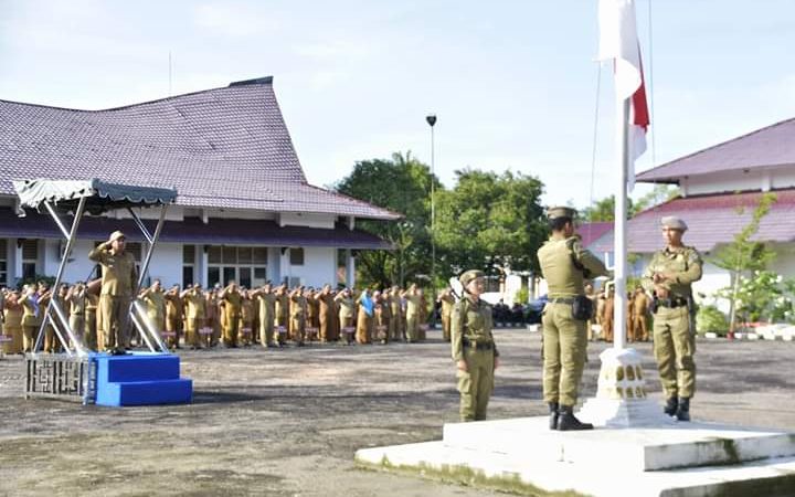 Wakil Bupati Tapteng Pimpin Upacar Sambut Hari Otonomi Daerah Ke XXIII Tahun 2019