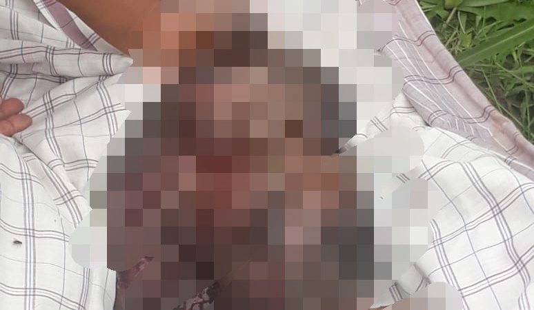Bayi Ditemukan Tewas Dikebun Tebu