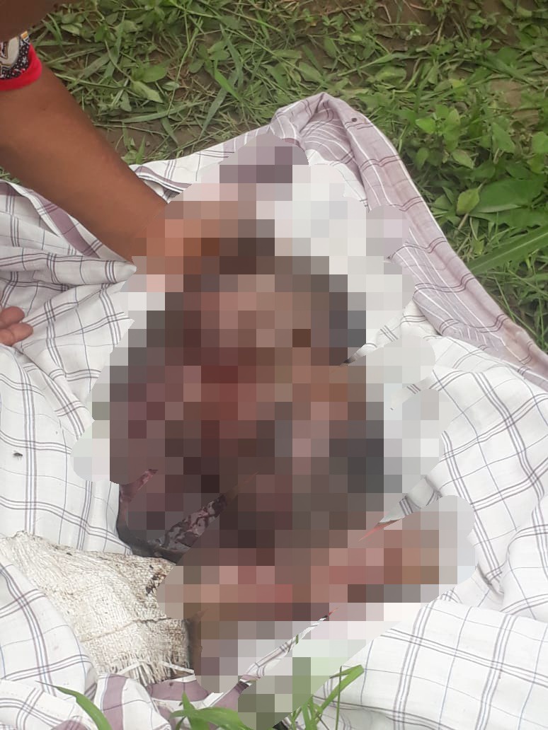 Bayi Ditemukan Tewas Dikebun Tebu
