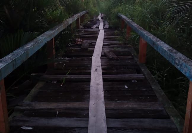 Jembatan Penghubung Persawahan Cot Meunumbok Rusak Parah