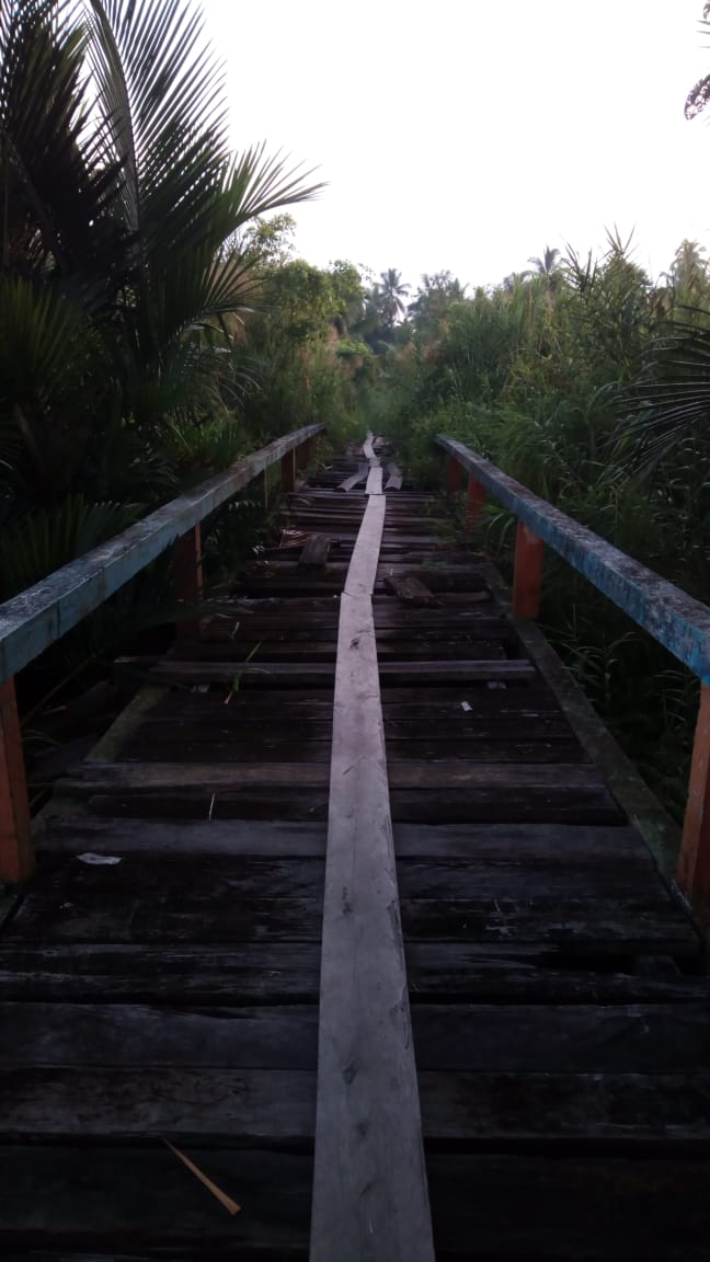Jembatan Penghubung Persawahan Cot Meunumbok Rusak Parah