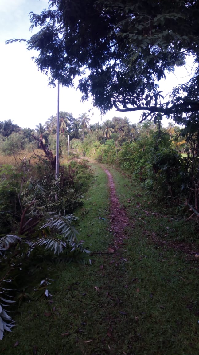 Jalan Gampong Blang Akan Segera di Bangun