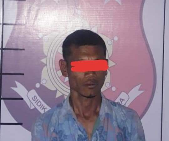 Hanya 6 Jam, Polsek Padang Bolak Ringkus Pelaku Pembunuh Rinto Harahap