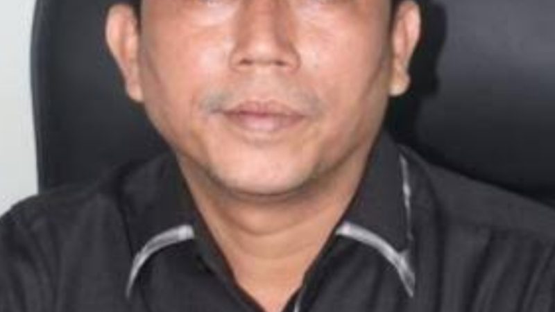 DPRD Kota Medan Minta Dinas Pertamanan Dan Kebersihan Awasi Pohon Tua Di Kota Medan