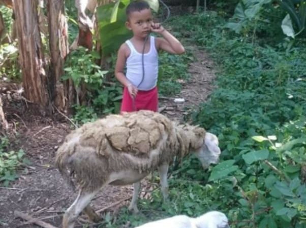 Bocah 3,5 Tahun Hanyut di Sungai Belawan
