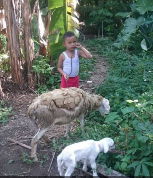 Bocah 3,5 Tahun Hanyut di Sungai Belawan