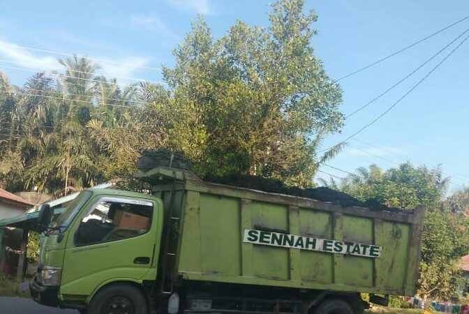 Mobil Pengangkut Janjangan Busuk Bebas Melintas Dengan Bak Terbuka Buat Resah Warga, Satlantas Agar Menindak