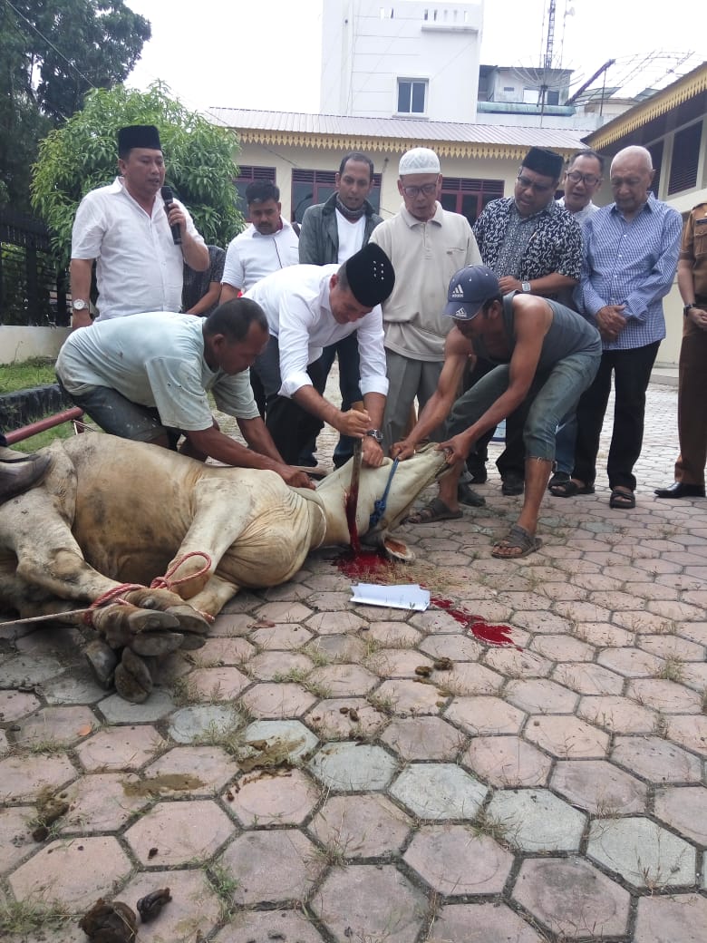 PWI Sumut Sembelih 5 Ekor Lembu dan 3 Ekor Kambing, satu Diantara Disembelih Langsung Oleh Wakil gubernur Sumut