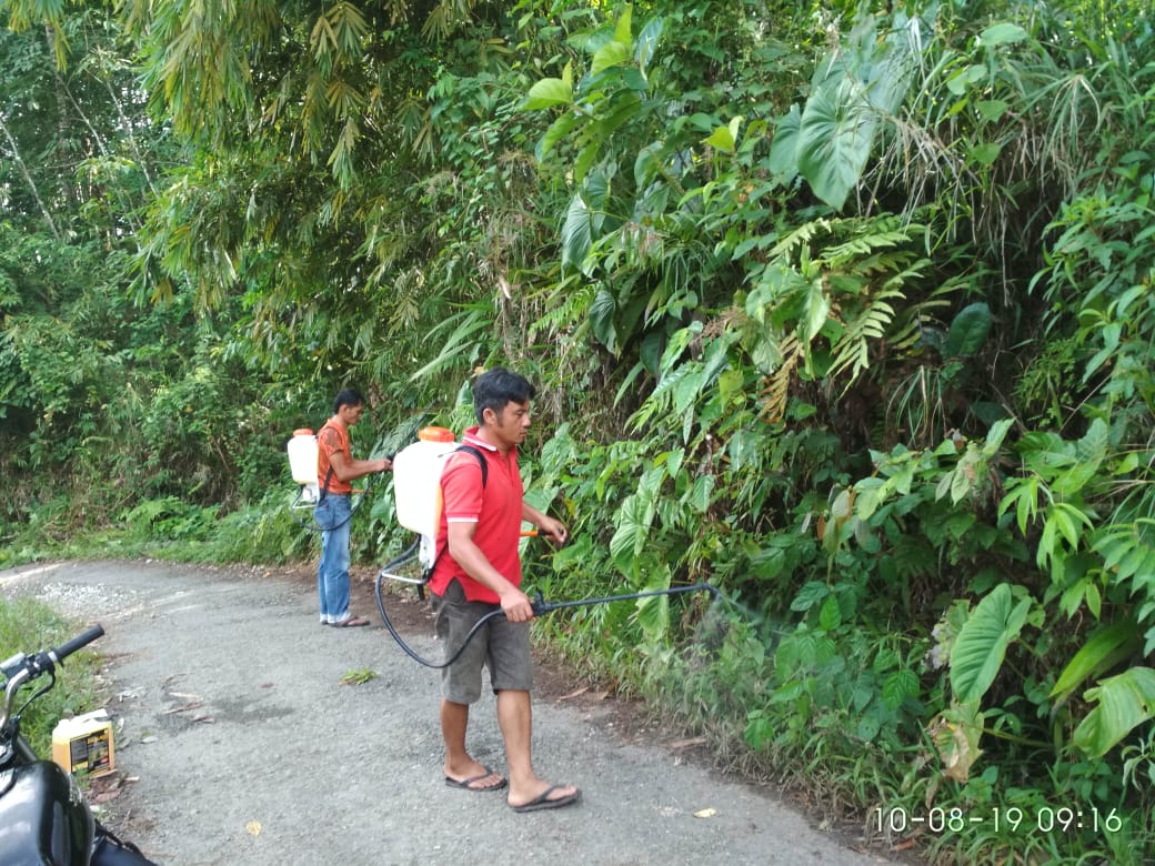 Mantap…!!! Kegiatan LPM Loloanaa Idanoi Berjalan Sukses