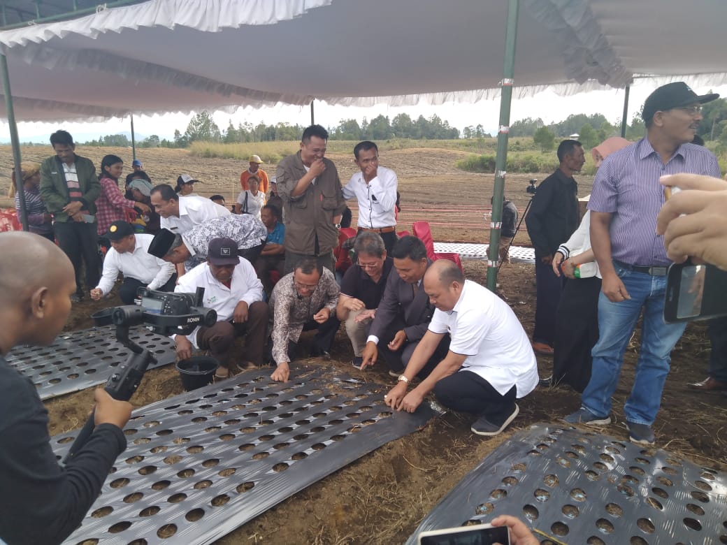 Sukseskan  Taput Lumbung Pangan Hutaginjang Ditanami Bawang Putih Seluas 30 Hektar
