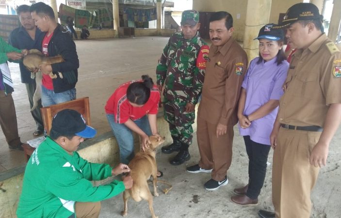 Distan Laksanakan Vaksinasi Rabies Serentak