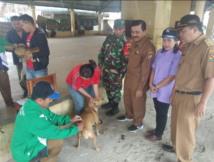 Distan Laksanakan Vaksinasi Rabies Serentak