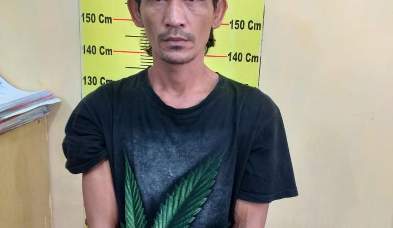 Asyik Bergelek, Ponijo di Gulung Tekab Polsek Deli Tua