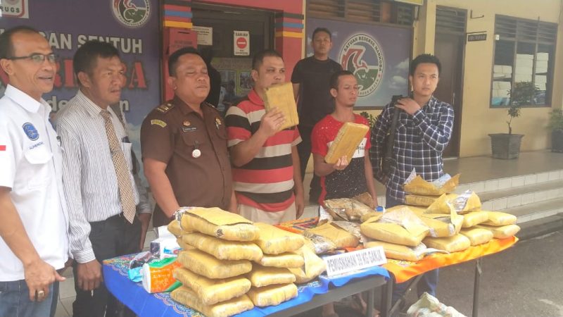 Polrestabes Medan Bau Asap Ganja