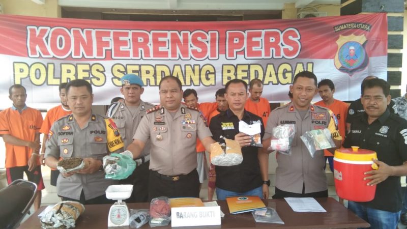 Polres Sergai Paparkan Tangakapan Sat Narkoba 9 Pelaku Kasus Narkoba