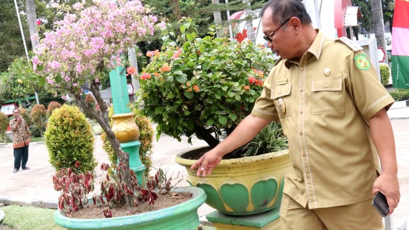 Wakil Wali Kota T﻿injau Lapangan Merdeka