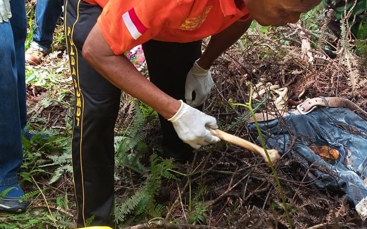 Warga Temukan Kerangka Manusia di Hutan, Martua Manalu Kenali Korban