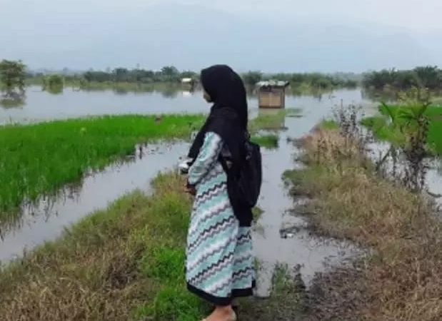 Akibat Banjir 3 Komoditas Terendam Banjir