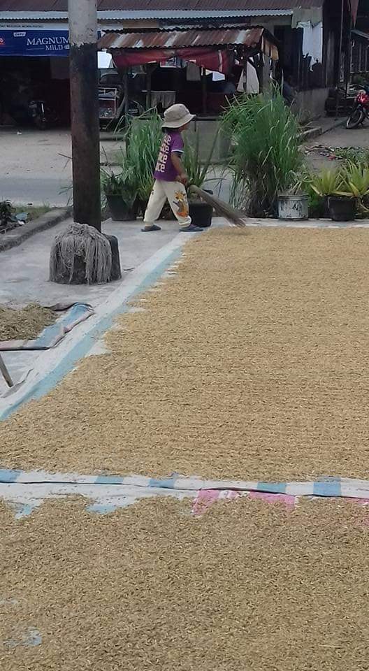 Oktober 2019, NTP Sumut Naik Menjadi 98,08