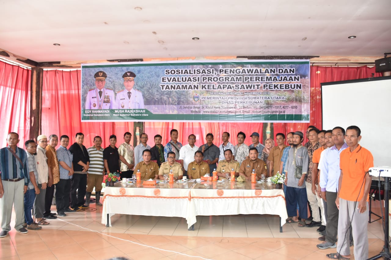 Dinas Perkebunan Provsu Sosialisasikan Program Peremajaan Kelapa Sawit Bagi Perkebunan Rakyat Di Sergai
