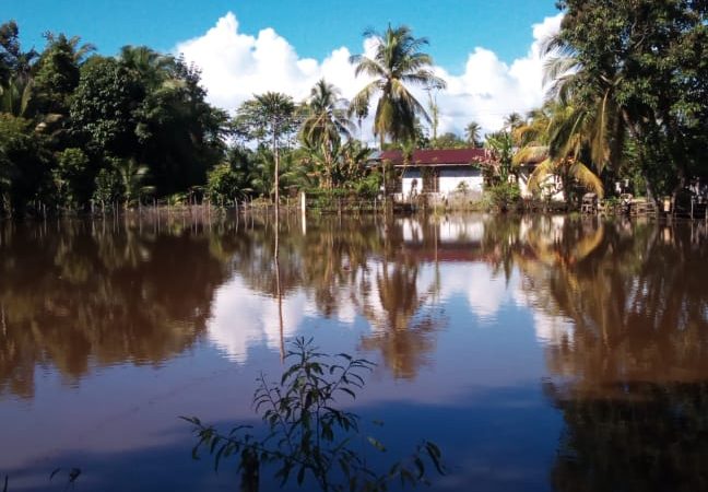 Areal Persawahan Didusun Drin Payong Tenggelam Dilanda Banjir