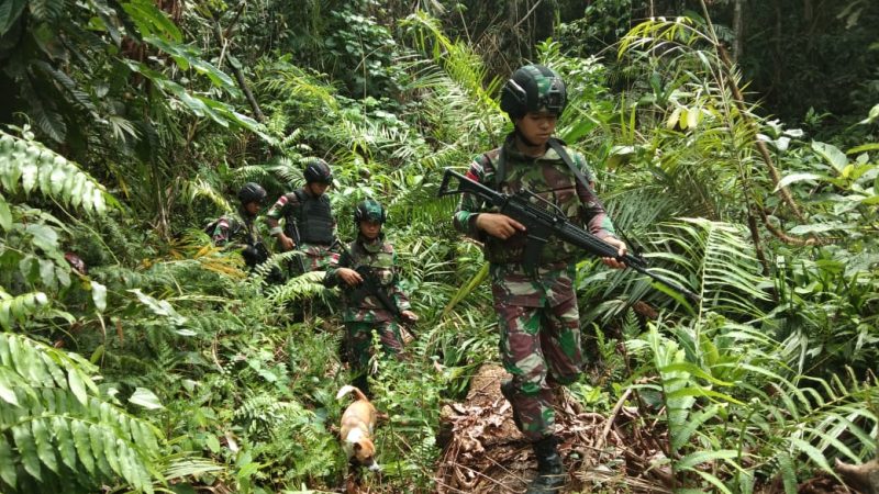 Menjaga Stabilitas, Yonif Raider 300 Patroli Keamanan Hutan Papua