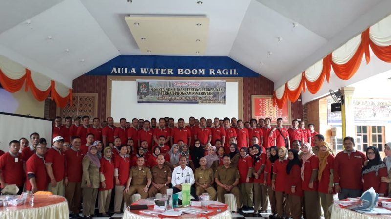 Dinas Pertanian Asahan Gelar Sosialisasi Perkebunan Dan P4GN