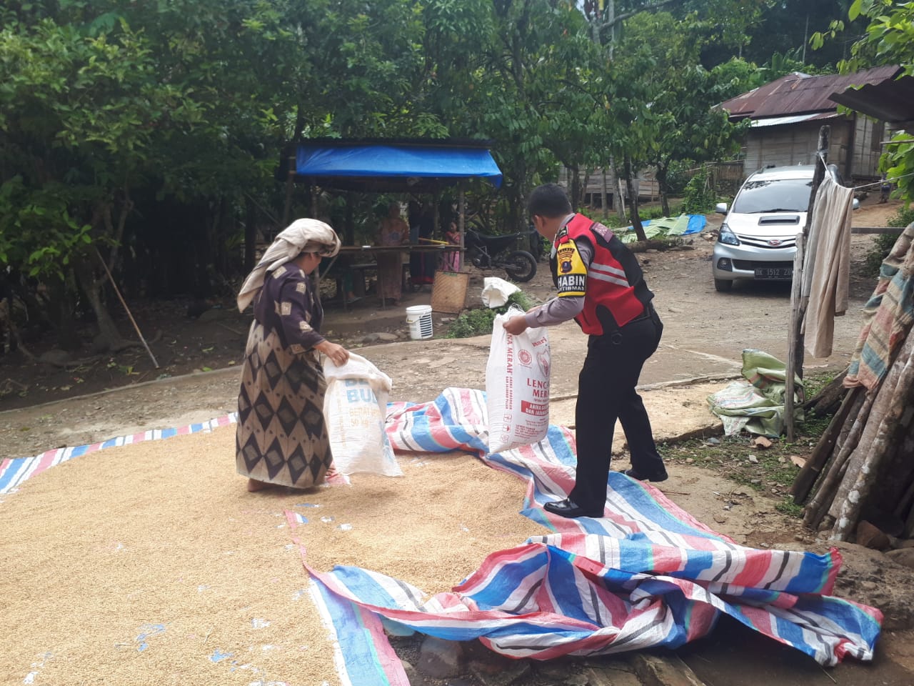 Briptu Yanwar Yudistira Sinaga Bantu Petani Jemur Padi
