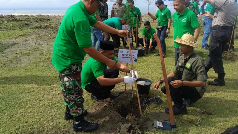 PT PLN  Peduli Lingkungan Tanam 1000 Pohon Di Pantai Suak Puntong