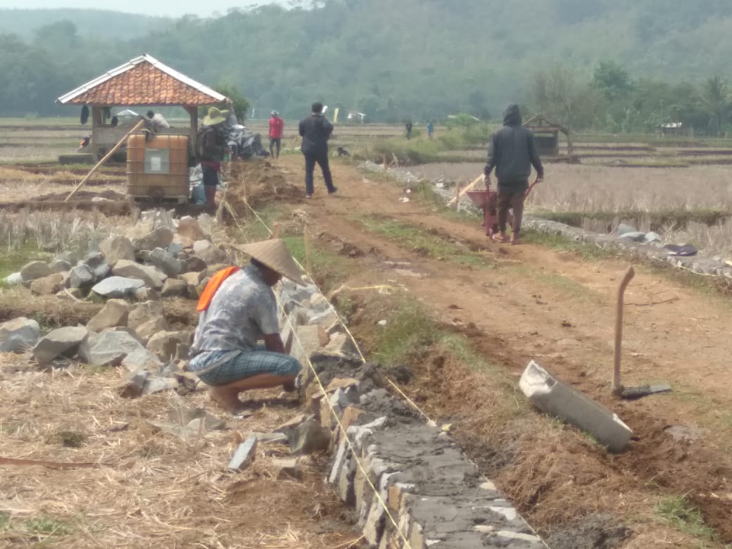 Berdampak Ke Pertanian dan Perekonomian Desa, Pemdes Cipancur Jalankan Proyek DD fokus ke TPT dan Cor Jalan