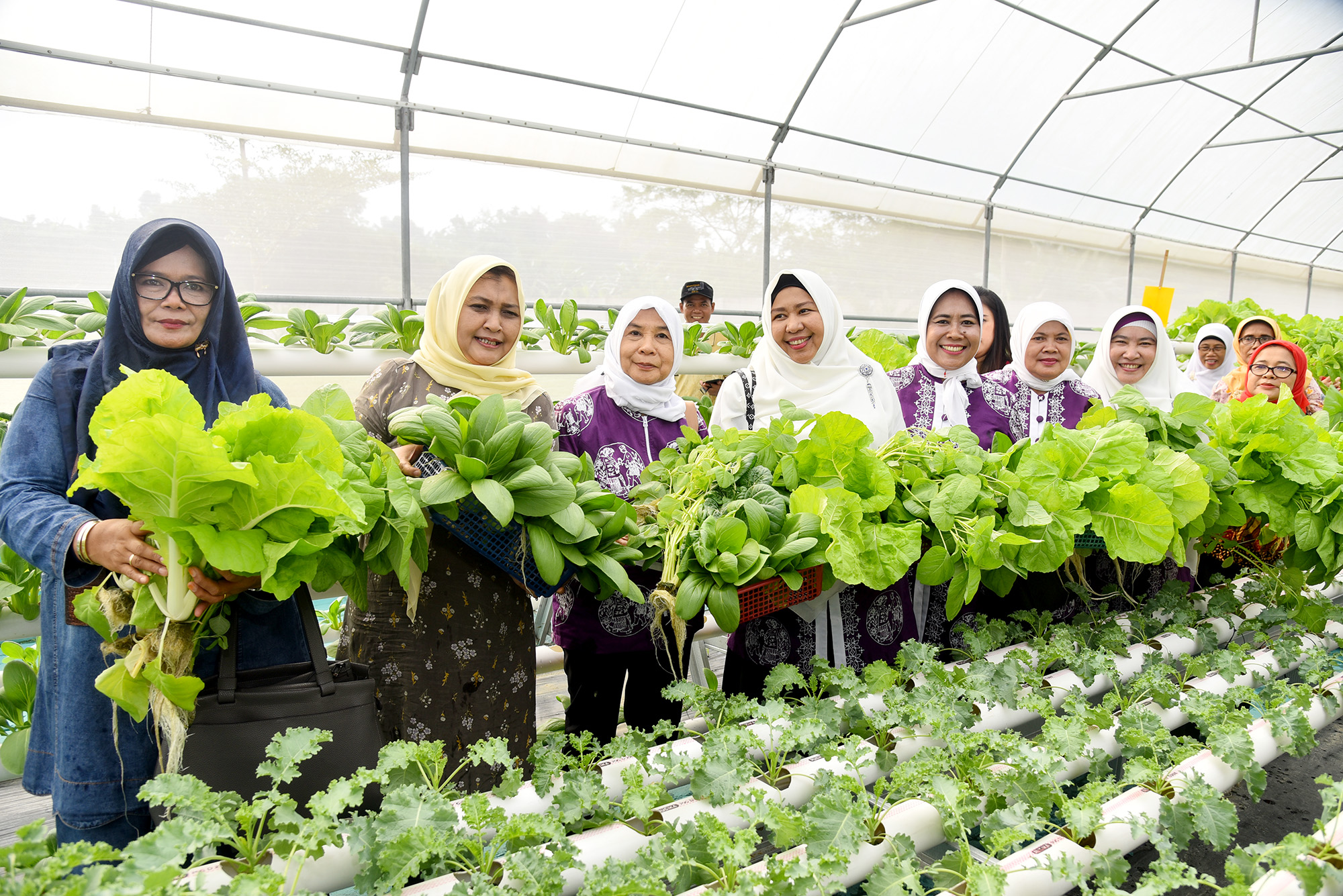 Edy Rahmayadi Harapkan Beri Inspirasi dan Wawasan Pertanian