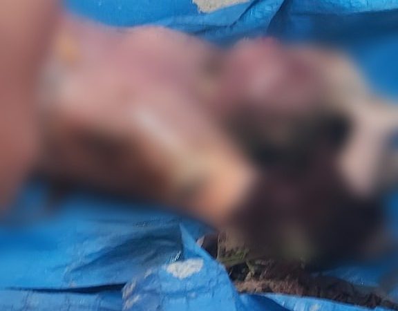 Liston Damanik “Kasus Martua Siregar dan Maraden Sianipar Bukan Kasus Kekerasan Terhadap Jurnalis