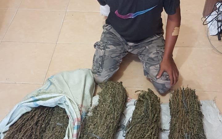 Miliki Ganja Kering Polisi Amankan Satu Pemuda Dua Paruh Baya