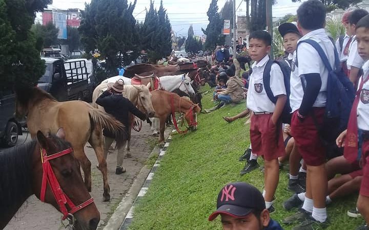 Joki dan Puluhan Ekor Kuda di Berastagi Geruduk Kantor Bupati Karo