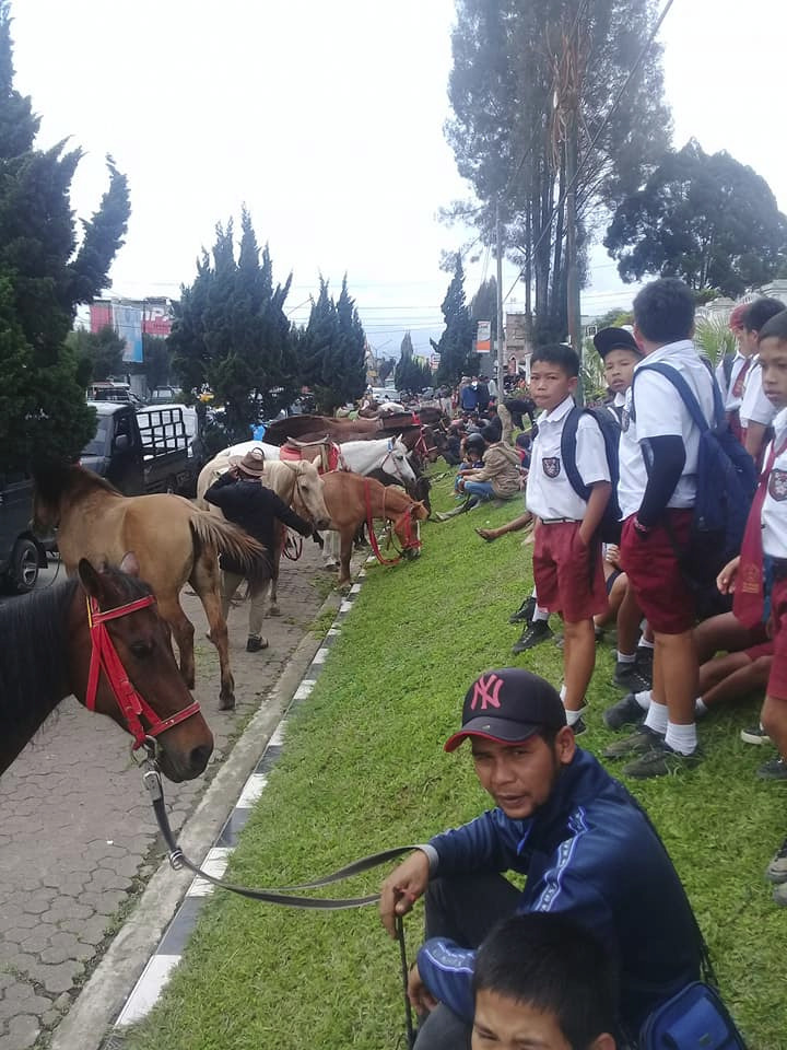Joki dan Puluhan Ekor Kuda di Berastagi Geruduk Kantor Bupati Karo