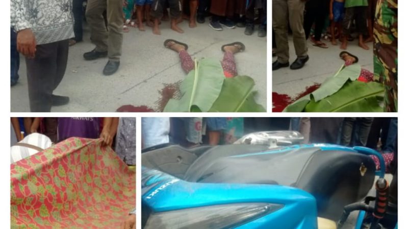 Akibat Mengelakkan Seekor Anjing, Pengendara Septor Matic Tewas Mengenaskan