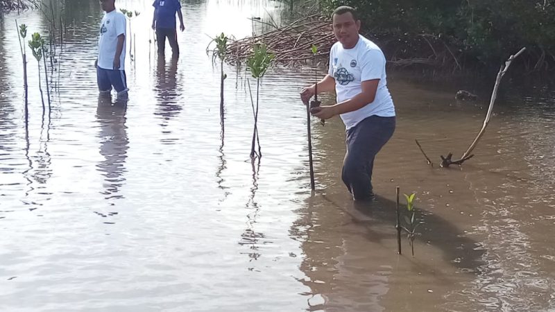 Wawakot Langsa  Bersama Aktivis Lingkungan Tanam  Pohon Mangrove Dalam Rangka HMPI