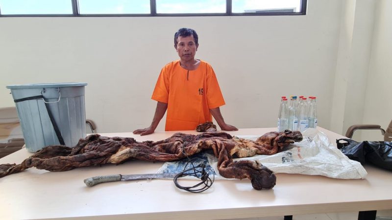 Polda Riau Gagalkan Perdagangan Kulit Harimau