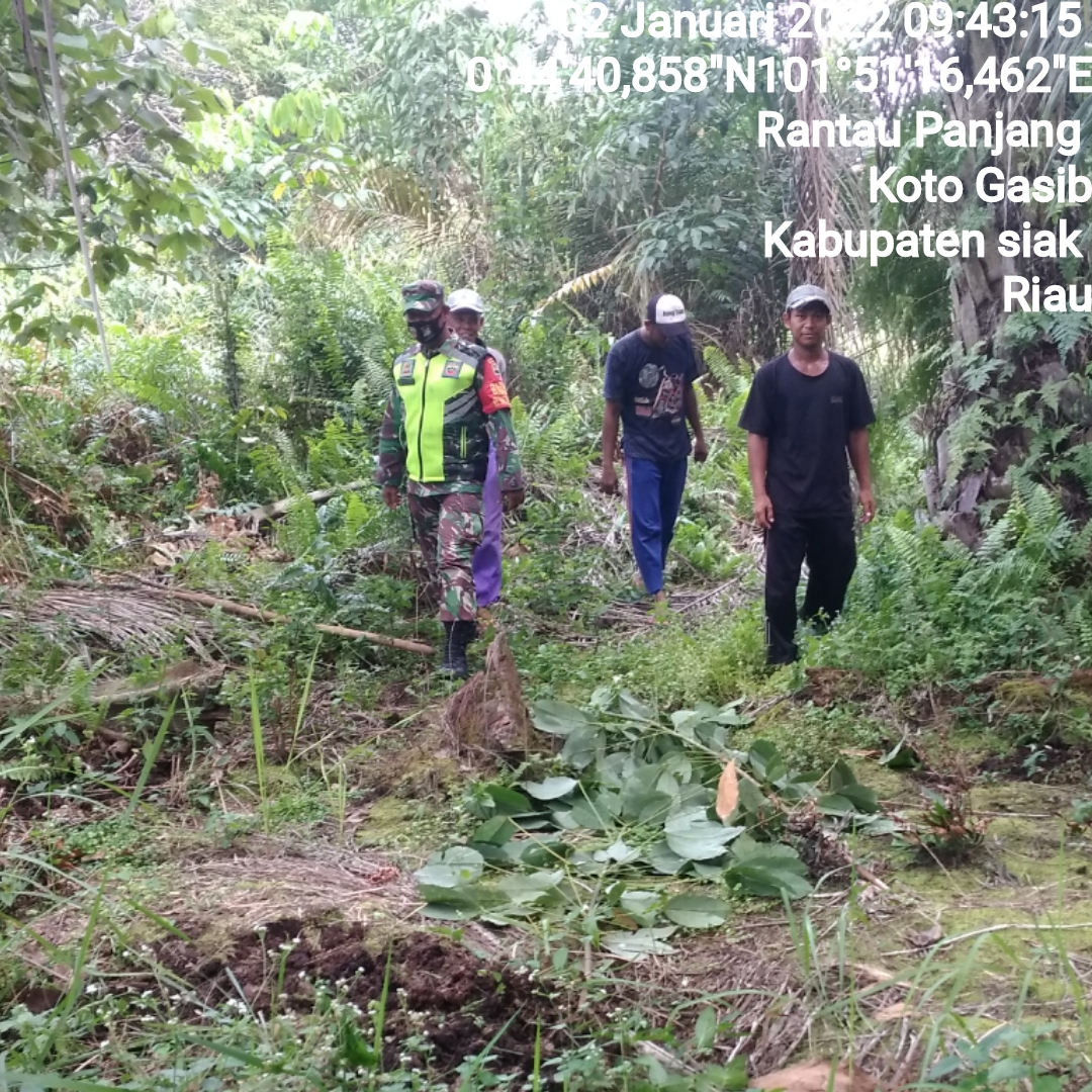 Babinsa Koramil 04/Perawang Sertu Purnomo Patroli Karhutla