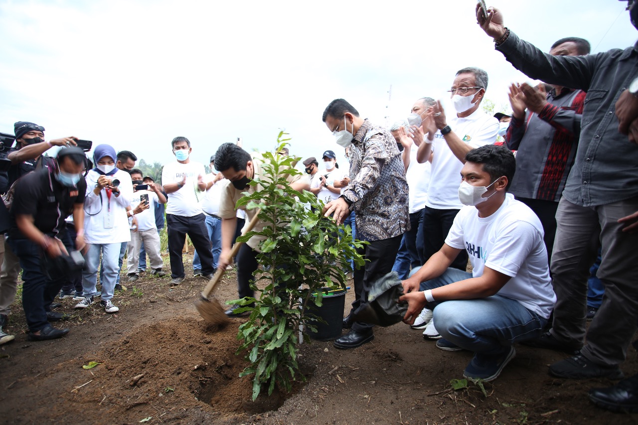 Menteri BUMN RI Bersama PT. Inalum Komitmen Lestarikan Kawasan Danau Toba Dengan Lakukan Penanaman Pohon