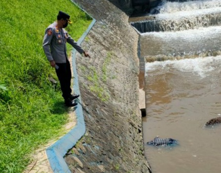 Warga Probolinggo Berusia 62 Tahun Di Temukan Tak bernyawa di Rolak Sungai Amprong