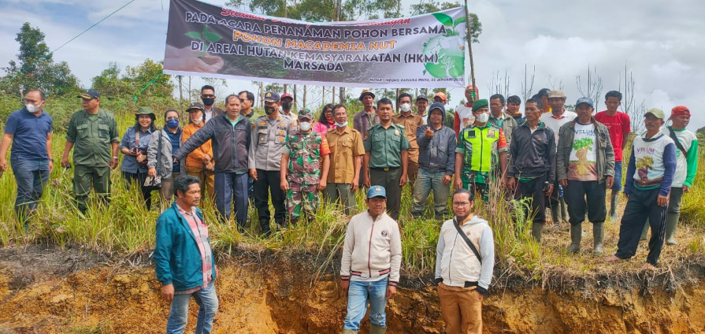 Forkomcam Harian Hadiri Penanaman Pohon Macadamia