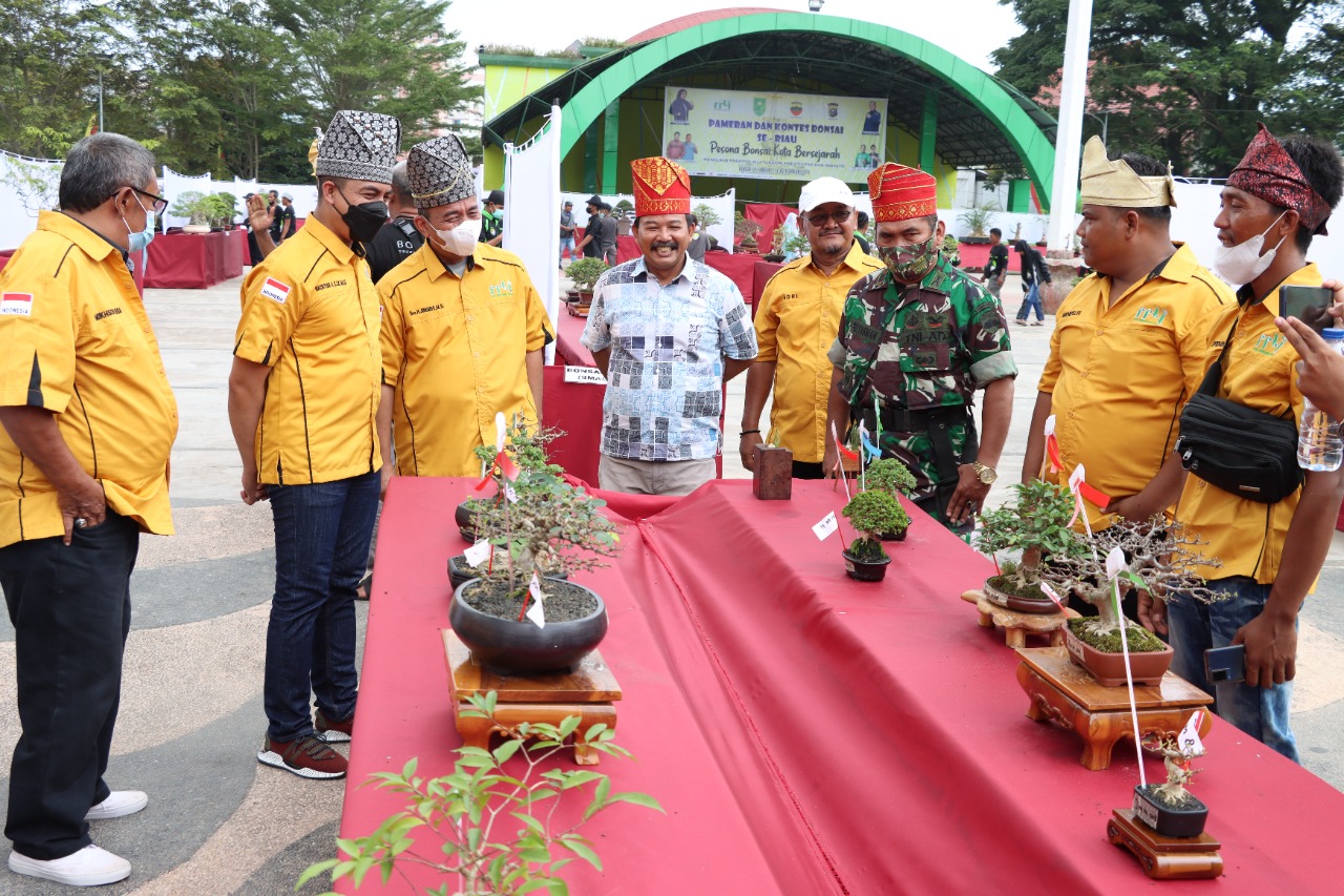 Pameran dan Kontes Bonsai Se Provinsi Riau,Wabup : PPBI Inhu Bisa Memberi Nilai Postif Tingkatkan Ekonomi Masyarakat