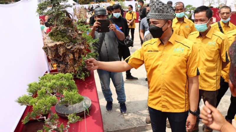 Kontes Bonsai Se Provinsi, Kapolres Inhu : Pengunjung Agar Tetap Patuhi Prokes