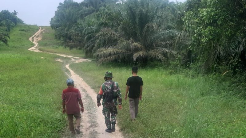 Babinsa Sertu Ardian Koramil 04/Perawang Patroli Karhutla