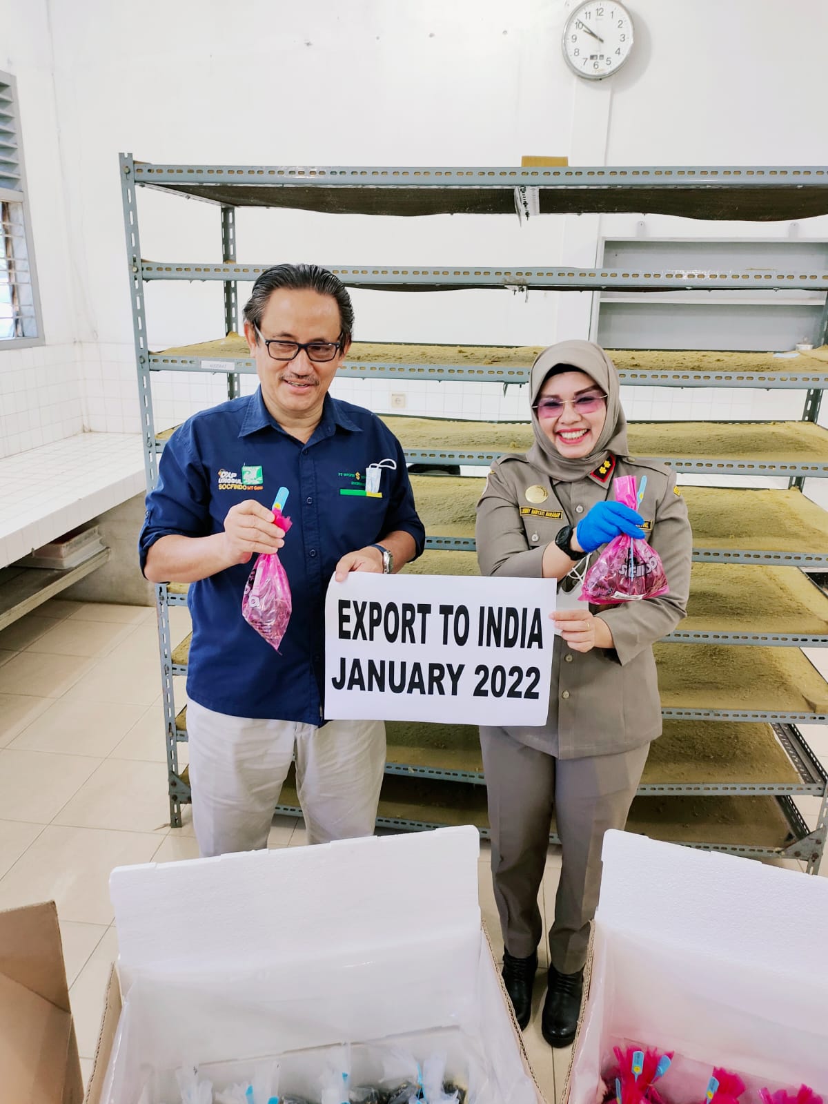 Target Karantina Medan Ekspor Kecambah 4 Juta Butir