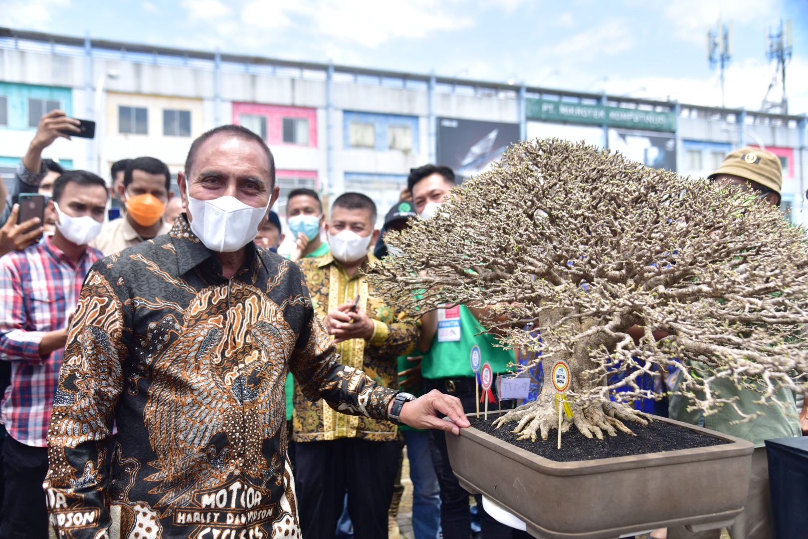 Gubernur Sumut Edy Rahmayadi Tinjau Pameran Bonsai Tingkat Nasional