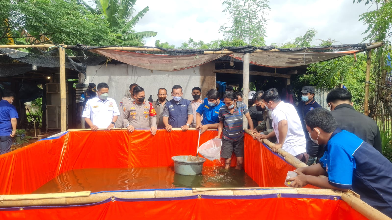 Warga Kayu Besar Tegal Alur, Bersama Kapolsek Kalideres, dan Tiga Pilar Kalideres, Jakarta Barat, Panen Raya Ikan Lele